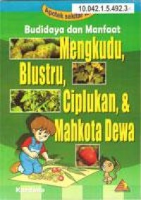 Budidaya dan manfaat mengkudu, blustru, ciplukan, dan mahkota dewa