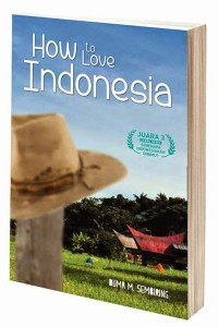 How to love indonesia