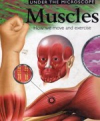 UNDER THE MICROSCOPE : MUSCLES