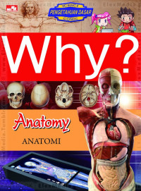 Why? Anatomy: anatomi