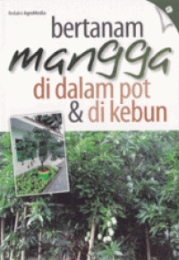 BERTANAM MANGGA DI DALAM POT DAN DI KEBUN