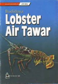 BUDIDAYA LOBSTER AIR TAWAR