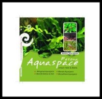 Pesona aquascape untuk hobi & bisnis