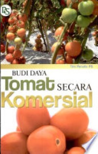 Budidaya tomat secara komersial