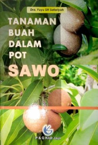 Tanaman buah dalam pot sawo